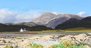 Adobe Photoshop Digital Painting Workshop