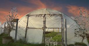 From Tunnel to Table