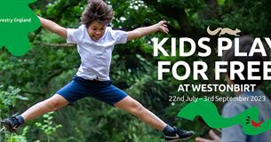 Kids play for free this summer at Westonbirt!