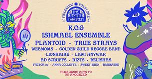 Fieldview Festival
