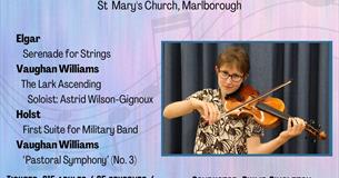 Marlborough Concert Orchestra