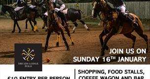 Fireside Polo Series