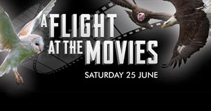Flight at the Movies