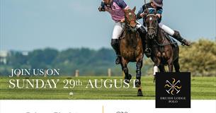 Druids Lodge Picnic Polo