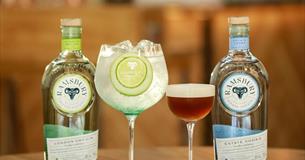 Festive Gin Tasting