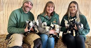 Kidding Season at Roves Farm