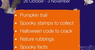 Halloween Nature Trail