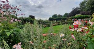 Open Garden for Salisbury Hospice Charity