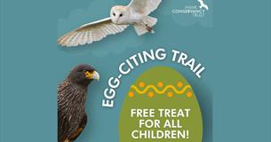 Easter at Hawk Conservancy Trust