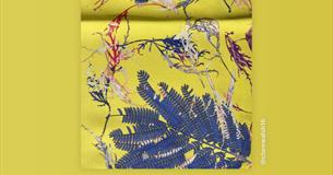 Exploring Colour using Heat Press with Clare Walsh
