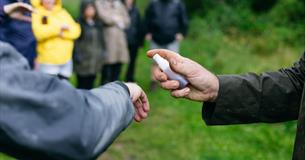 Foraging Walk
