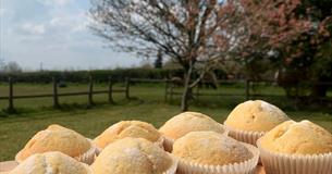 8+ Yrs Holiday Cookery Club