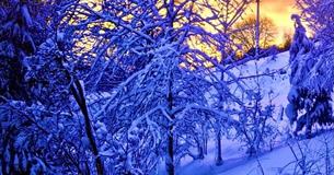 Trio Paradis Café Concert: A December Evening at Bradford on Avon