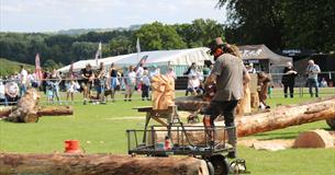 Wiltshire Game & Country Fair