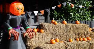 Bowood's Autumn Adventure