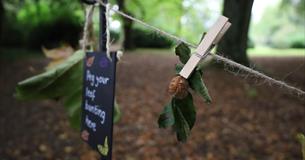 Autumn Adventures at Lacock Abbey