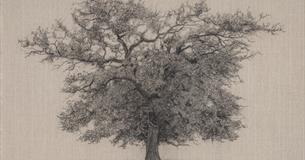 Clare Duguid Solo Exhibition