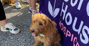 Dorothy House - Paws in the Park 2024