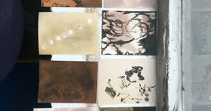 Eco-photography workshops with the Sustainable Darkroom