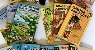 The Wonderful World of the Ladybird Book Artists