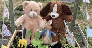 Teddy Bear Trail - famous pairs