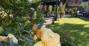 Sherston Open Gardens Weekend