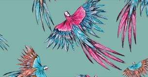 Jungle Adventure Mural Painting with Rosie Fossett