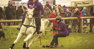 Wiltshire Game & Country Fair