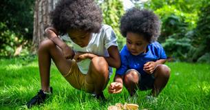 Wonderful World of Fungi