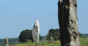 Landscape Walk—Waden Hill