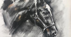 SKYE HOLLAND: LIVE HORSE DRAWING WORKSHOPS
