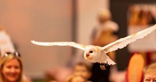 Winter Wildlife Week at Longleat