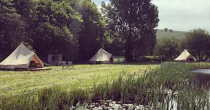Chalke Valley Camping