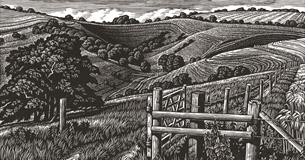 Printmaking in the 20th Century - Art History Course