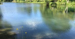 Shalbourne Open Gardens