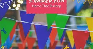 NAME THAT BUNTING