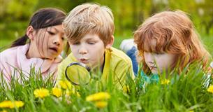 Summer Explorers