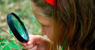 Nature Detectives at Roves Farm