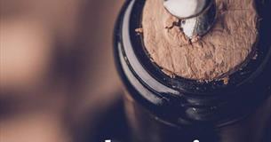 Novel Wines - Tasting & Cheese