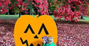 Autumn Adventure at Bowood