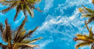 Tropical Treat for the over 60's