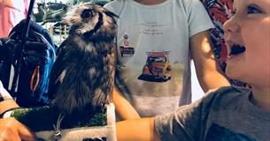 BRILLIANT BIRDS - October Half Term Activities
