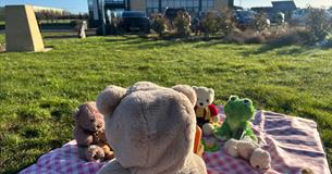 Teddy Bears Picnic