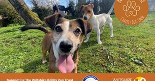 Paws for a Cause