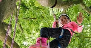 Big Tree Climb organised by The Great Big Tree Climbing Company