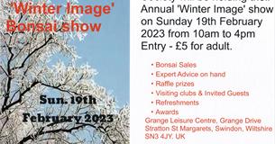 Swindon 'Winter Image' Bonsai show