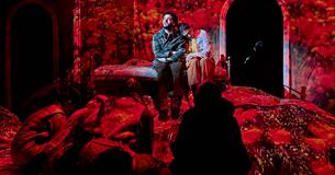 The Beekeeper of Aleppo