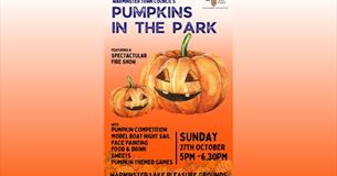 Pumpkins in the Park