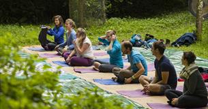 Relax with Yoga on the Lawn