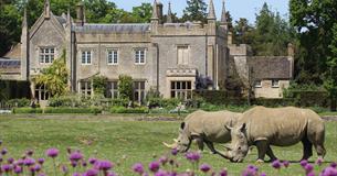 Rhinos on the lawn at Cotswold Wildlife Park